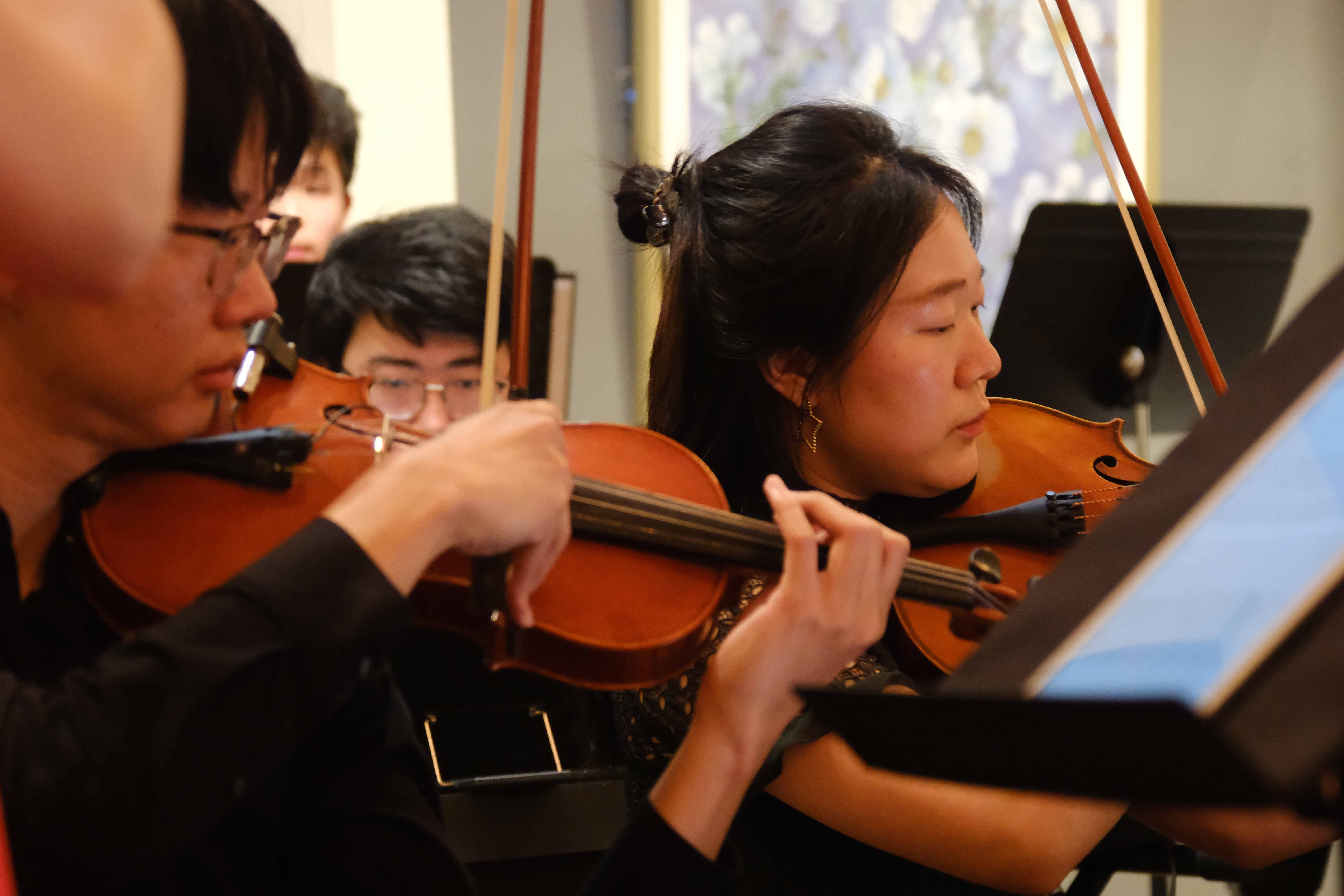 Violin section performing at the debut concert