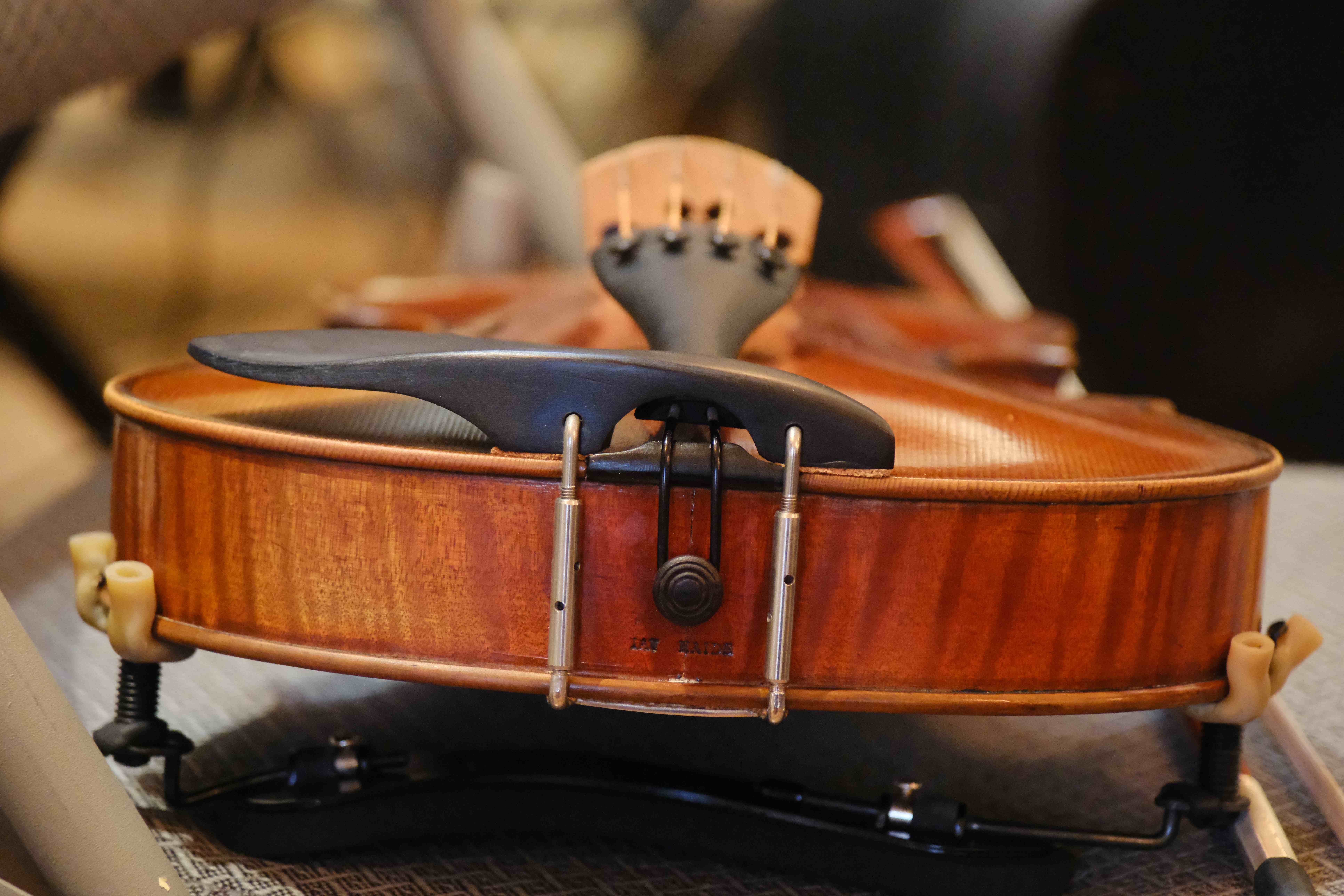 Close-up of a violin resting in its case